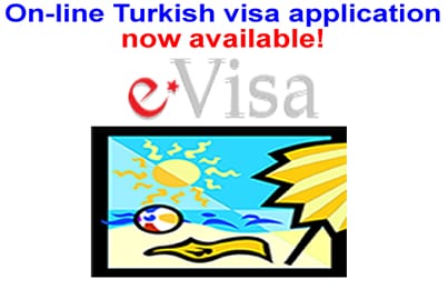 apply on line for c3 visa application